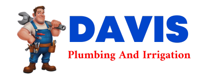 Trusted plumber in LONEPINE